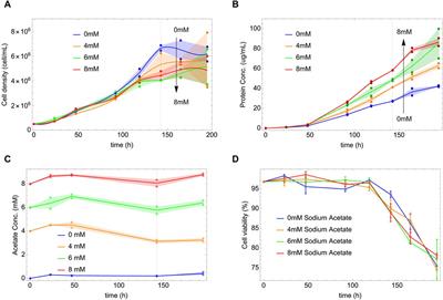 Sodium acetate increases the productivity of HEK293 cells expressing the ECD-Her1 protein in batch cultures: experimental results and metabolic flux analysis